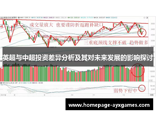 英超与中超投资差异分析及其对未来发展的影响探讨 英超与中超投资差异分析及其对未来发展的影响探讨