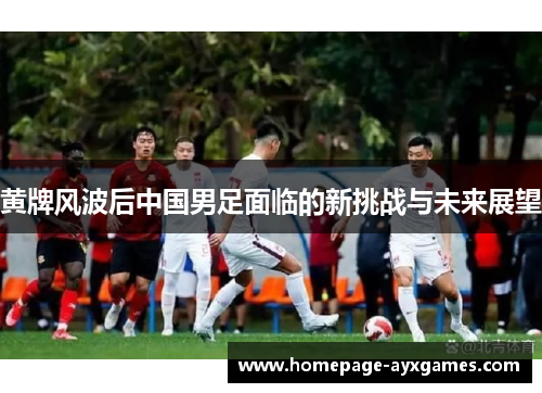 黄牌风波后中国男足面临的新挑战与未来展望