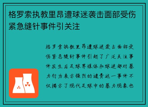 格罗索执教里昂遭球迷袭击面部受伤紧急缝针事件引关注 格罗索执教里昂遭球迷袭击面部受伤紧急缝针事件引关注